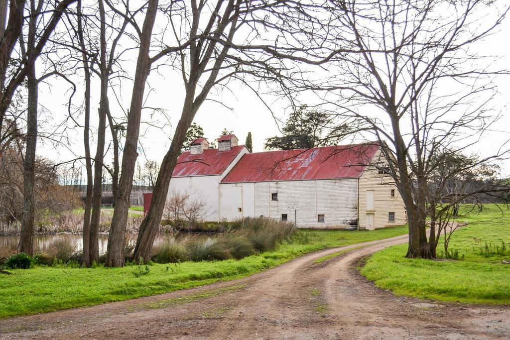 Roslyn House Bed & Breakfast Bushy Park Экстерьер фото