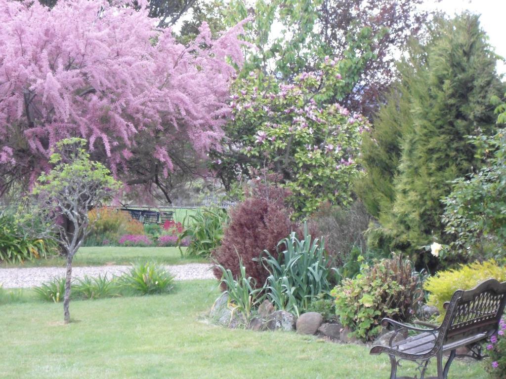 Roslyn House Bed & Breakfast Bushy Park Экстерьер фото