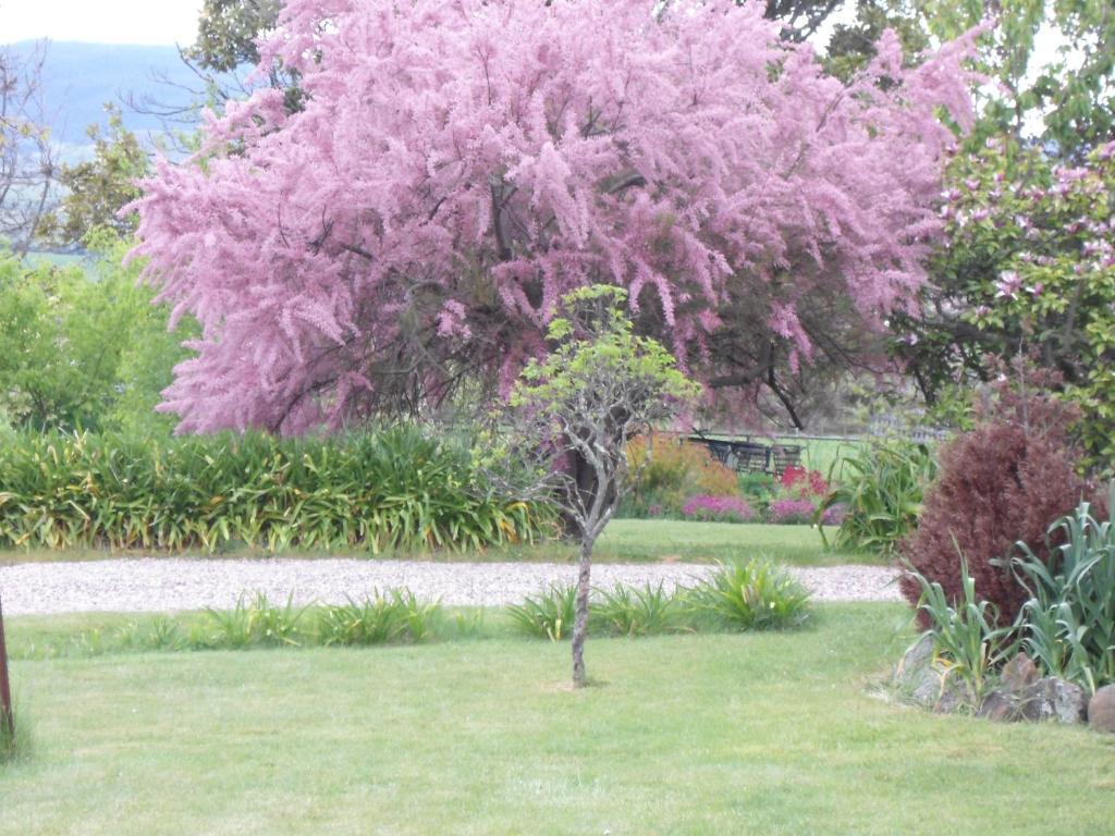 Roslyn House Bed & Breakfast Bushy Park Экстерьер фото