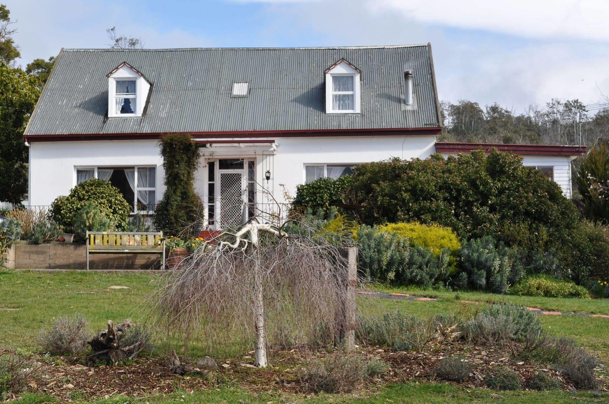 Roslyn House Bed & Breakfast Bushy Park Экстерьер фото