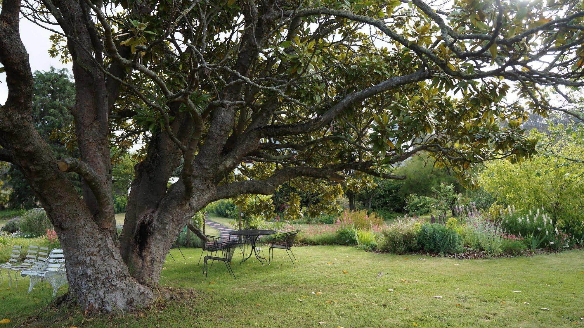 Roslyn House Bed & Breakfast Bushy Park Экстерьер фото