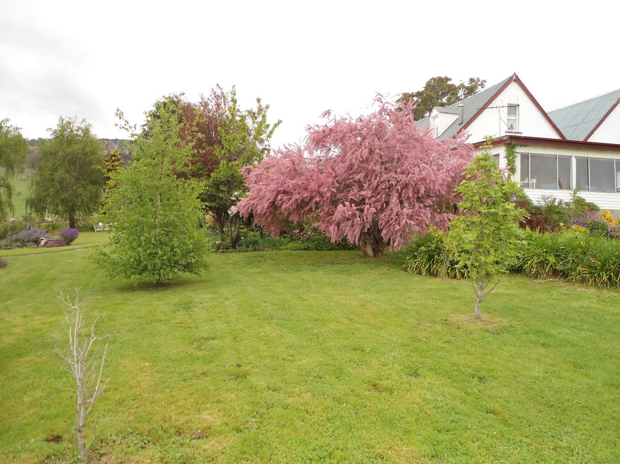 Roslyn House Bed & Breakfast Bushy Park Экстерьер фото
