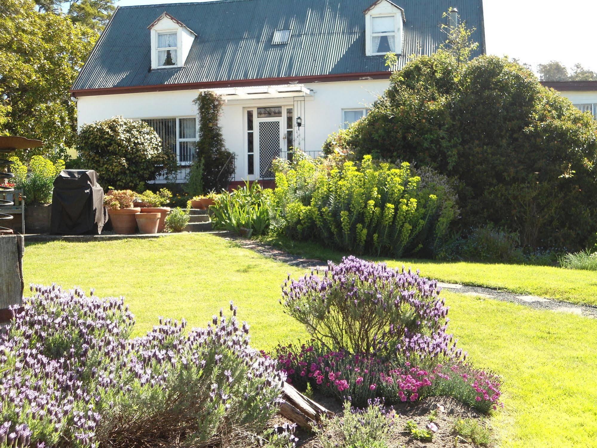 Roslyn House Bed & Breakfast Bushy Park Экстерьер фото