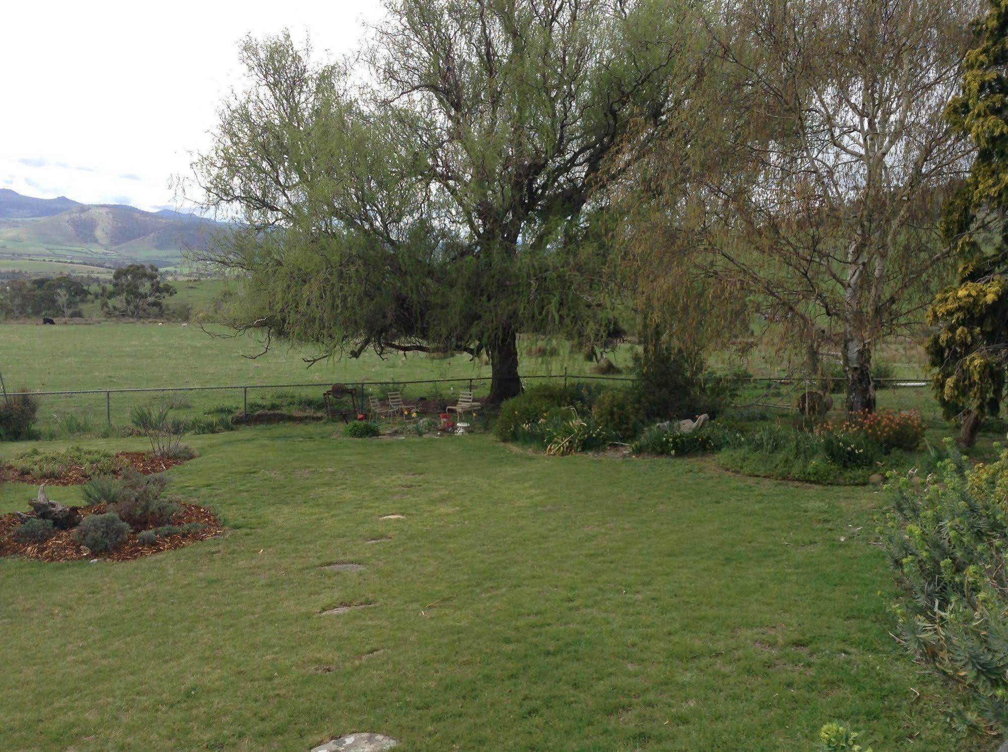 Roslyn House Bed & Breakfast Bushy Park Экстерьер фото